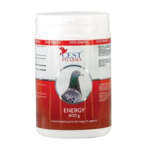 ENERGY conține carbohidrați cu absorbție lentă și rapidă