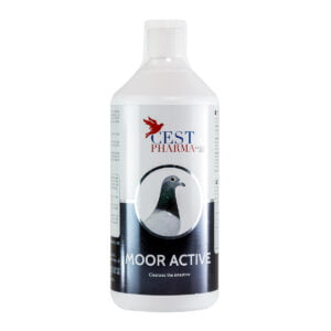 MOOR ACTIVE este concentrat pur de carbune din turbă