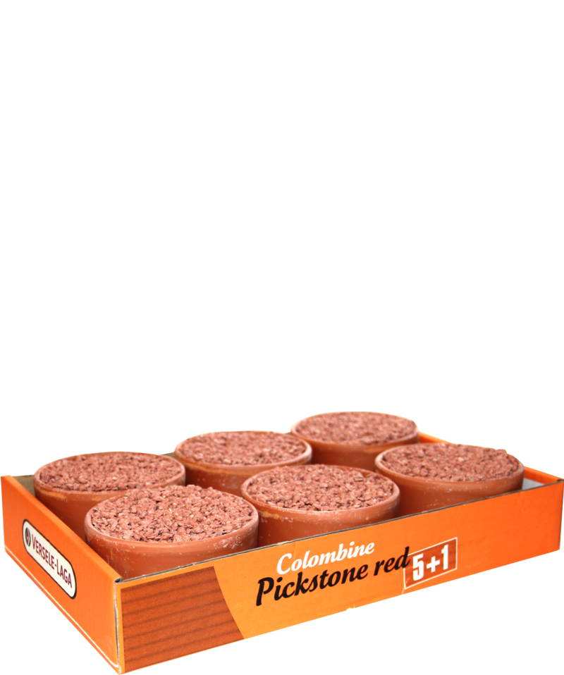 Colombine PICKSTONE – minerale și vitamine Colombine PICKSTONE – minerale și vitamine