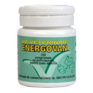 Energovan 100 comprimate