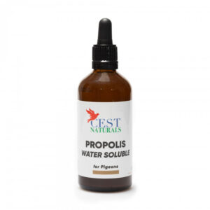Propolis solubil în apă pentru porumbei și păsări de colivie cu efecte antibacteriene, antifungice, antivirale, antiprotozoale (combate paraziții, cum ar fi tricomonadele si hexamita), antiinflamatoare și antioxidante.
